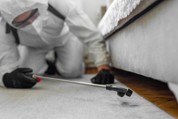 Professional Bed Bug Control technician working in Nevada, TX