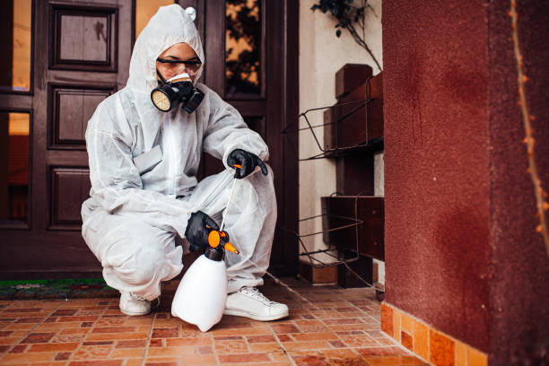 Reliable Bed Bug Control contractor in Nevada, TX by Nex Pest Control